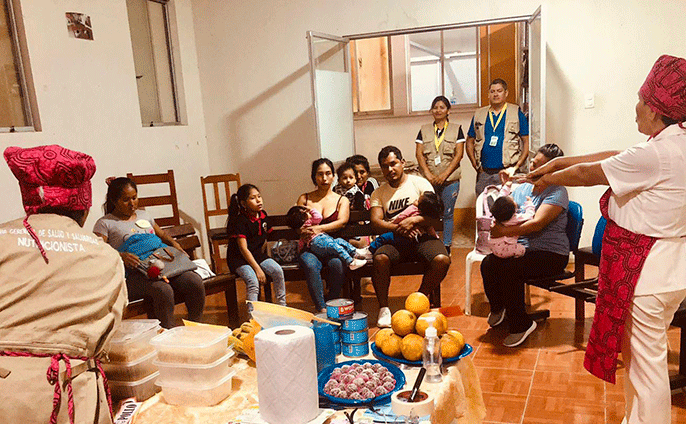 Preparaciones nutritivas con alimentos ricos en hierro