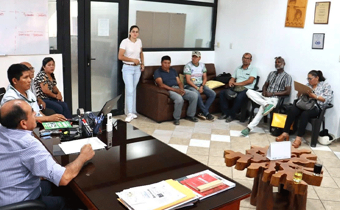 Evaluación de puentes de madera
