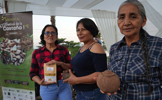 Castaña amazónica protagonista del festival